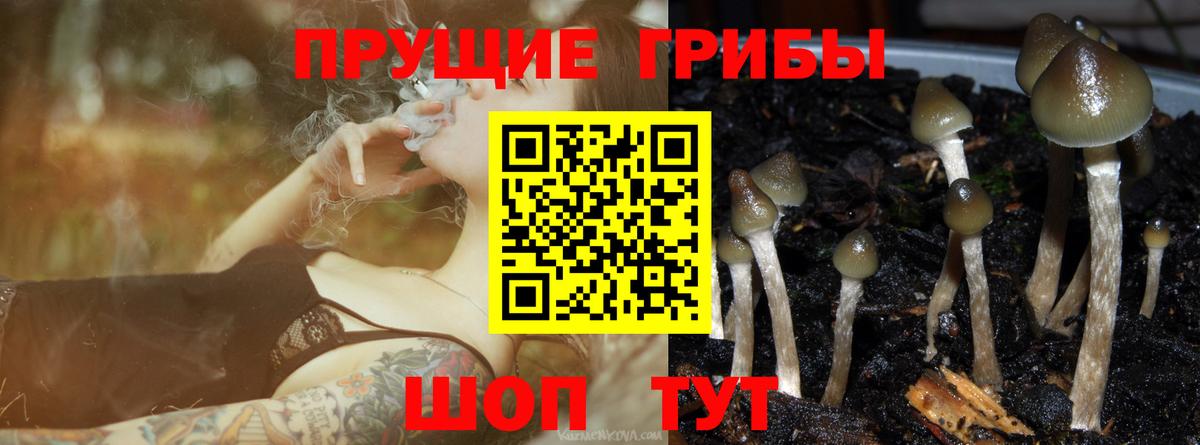 Псилоцибиновые грибы мицелий Железноводск