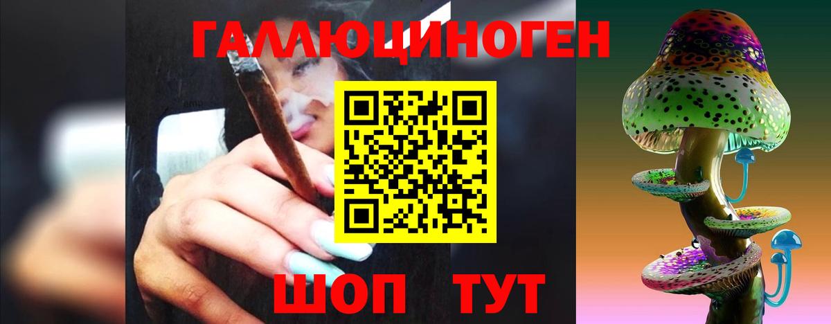 Галлюциногенные грибы Cubensis  Вход с VPN  Железноводск 